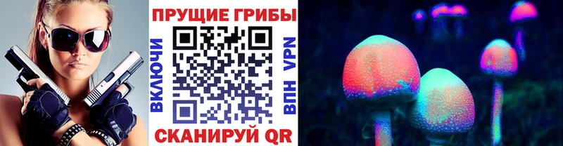 Галлюциногенные грибы Psilocybine cubensis Дербент