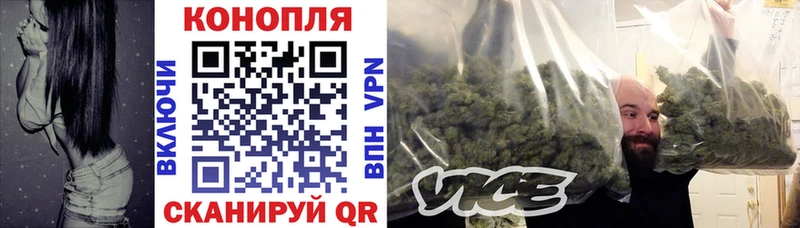Конопля сатива  Дербент 